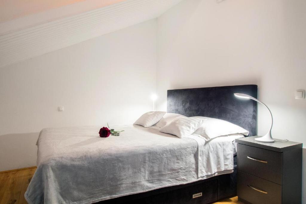 بودْسْتغانا Bed & Breakfast Pino المظهر الخارجي الصورة